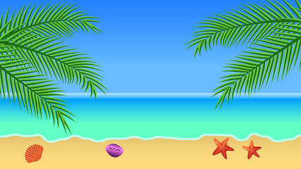 Sea background with sea, palm trees, sand, sky, starfish and seashells