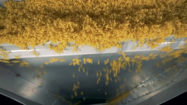 Manufacture of macaroni in a food factory. Close-up.