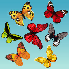 set of drawn colored butterflies on a blue background