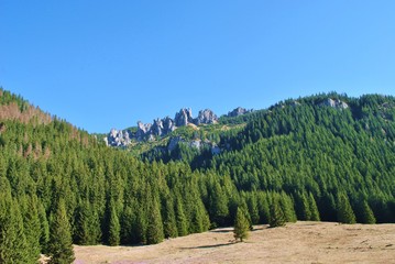 Dolina Chochołowska © bnorbert3