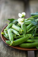 Green pea in plate on wooden background