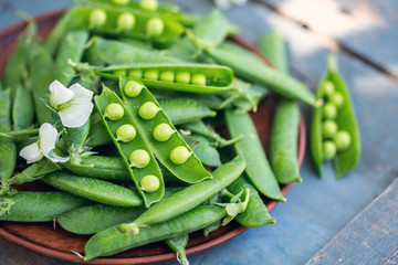 Green pea, closeup