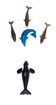 decorative dolphins, accessories for aquarium