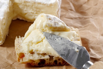 Camembert cheese traditional Normandy French, dairy product
