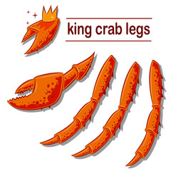 King crab legs and claws. Vector cartoon illustration of sea delicacies isolated on white background.