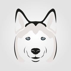 Husky mit blauen Augen, Zeichnung © MQ-Illustrations