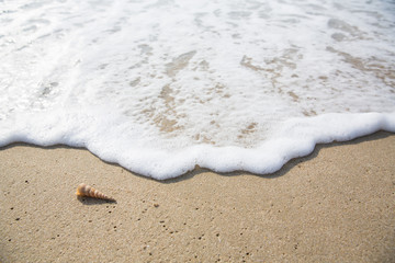 Sea wave bubble and shell on clean sand beach