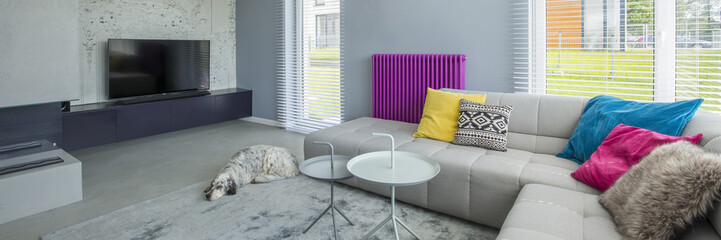Designer colorful living room