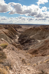 Fototapeta na wymiar Painted Desert at Petrified Forest National Park with cloudy skies in background