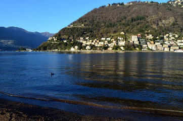 Comer See