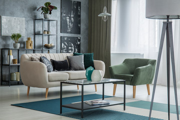 Elegant living room interior