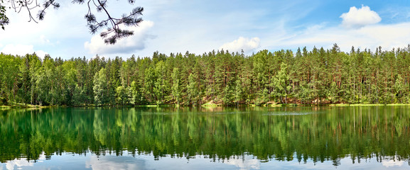 Silent lake near green forest.