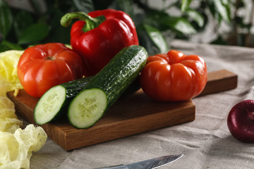 fresh vegetables tomato, cucumber, pepper and red onion on a cutting board