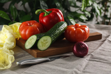 fresh vegetables tomato, cucumber, pepper and red onion on a cutting board