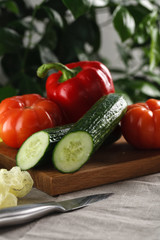 fresh vegetables tomato, cucumber, pepper and red onion on a cutting board