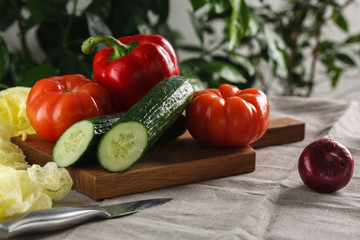 fresh vegetables tomato, cucumber, pepper and red onion on a cutting board