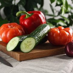 fresh vegetables tomato, cucumber, pepper and red onion on a cutting board