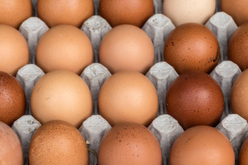 Palette d'œufs de poule provenant de la ferme