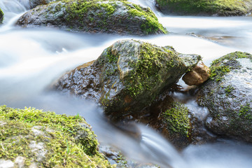 Stein im Wasser umringt vom Wasser im Bach