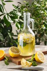 citrus lemonade with ice cubes in vintage graph. summer drink Limoncello