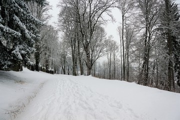 Ruine Honburg auf dem Berg Honberg in der Stadt Tuttlingen in Süd Deutschland in Europa 