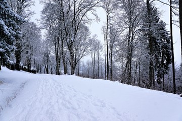Obraz premium Ruine Honburg auf dem Berg Honberg in der Stadt Tuttlingen in Süd Deutschland in Europa 