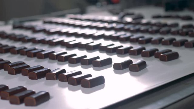 Desserts on production line at candy factory.