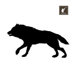 Black silhouette of running wolf on white background. Forest animals. Detailed isolated image. Vector illustration
