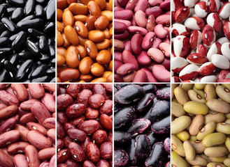 Collage of different types of beans..Varieties of beans.Top view.Closeup.Texture
