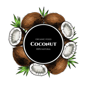 Vector frame with coconuts and tropical leaves .Hand drawn. Vintage style