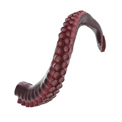 Octopus Tentacle on white. 3D illustration - 200120652