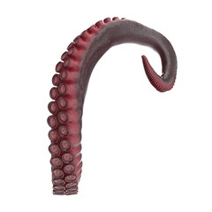 Octopus Tentacle on white. 3D illustration - 200120663