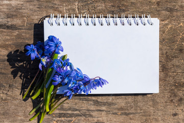 Blank notepad with blue scilla flowers on rustic wooden background
