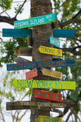 USA, Florida, Direction signs with distances on palm tree trunk