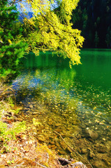 mountain autumn green siberia lake with reflection