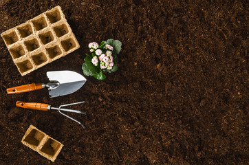 Gardening tools on fertile soil texture background seen from above, top view. Gardening or planting concept. Working in the spring garden.