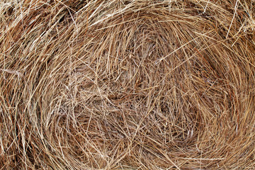 a bale of hay, grass, dry