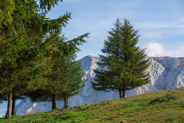 Typical panorama of the Basque mountains