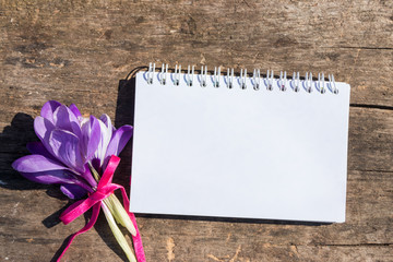 Purple crocus flowers and blank notepad  on rustic wooden background