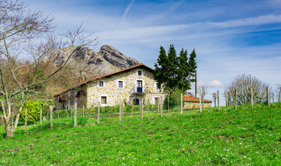 Basque rural tourism in a beautiful landscape   © AnderArrieta