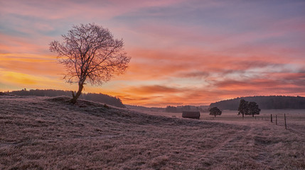 Kalter aber schöner Morgen