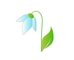 
Flat icon of a forest flower (snowdrop). Vector illustration. 