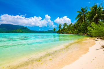 Beautiful beach with turquoise water on Bora Bora island.