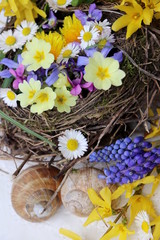 Spring nest with flowers