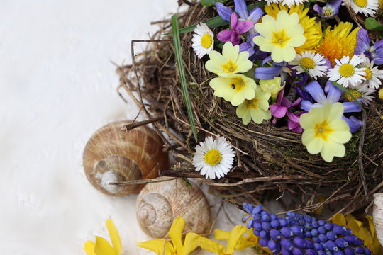 Spring nest with flowers