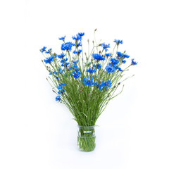 Bouquet of cut Blue Cornflowers on isolated white background