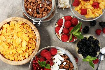 Cereal and ingredients for a healthy breakfast with chia pudding, granola, cornflakes and berries