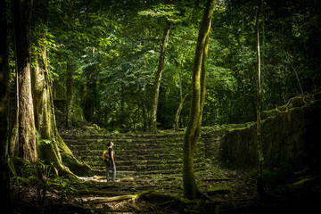 Woman stands in think jungle with a backpack on for female solo adventure travel concept - obrazy, fototapety, plakaty