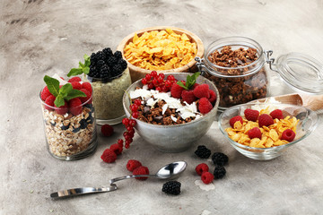 Cereal and ingredients for a healthy breakfast with chia pudding, granola, cornflakes and berries