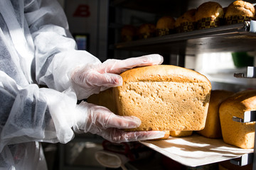 Baker puts bread in a tray in the kitchen in the bakery